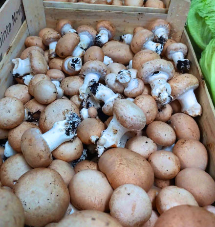 la Ferme Delignières